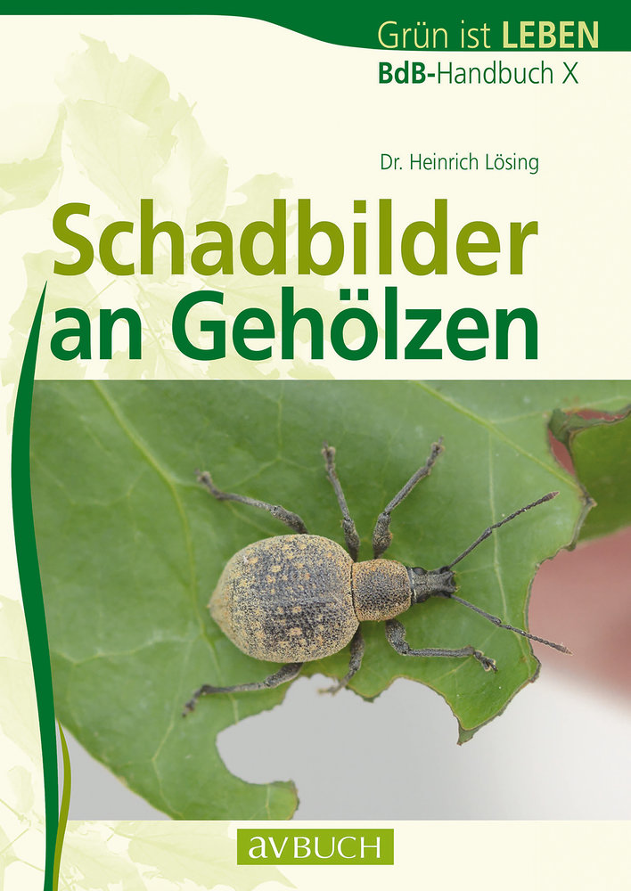 Schadbilder an Gehölzen