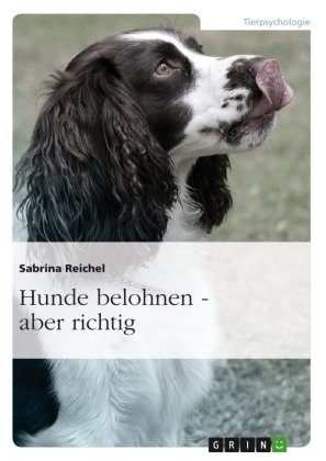 Hunde belohnen ¿ aber richtig