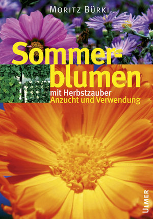 Bildatlas Sommerblumen