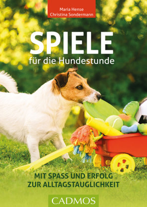 Spiele für die Hundestunde