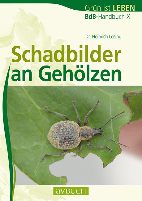 Schadbilder an Gehölzen